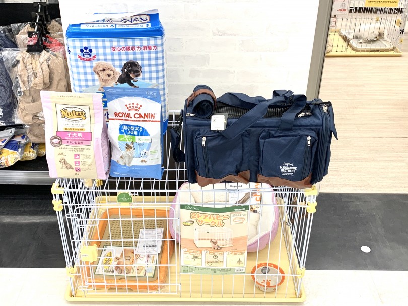 生活をスタートさせるために必要なもの | トイ・プードル （014327） - 東日暮里店