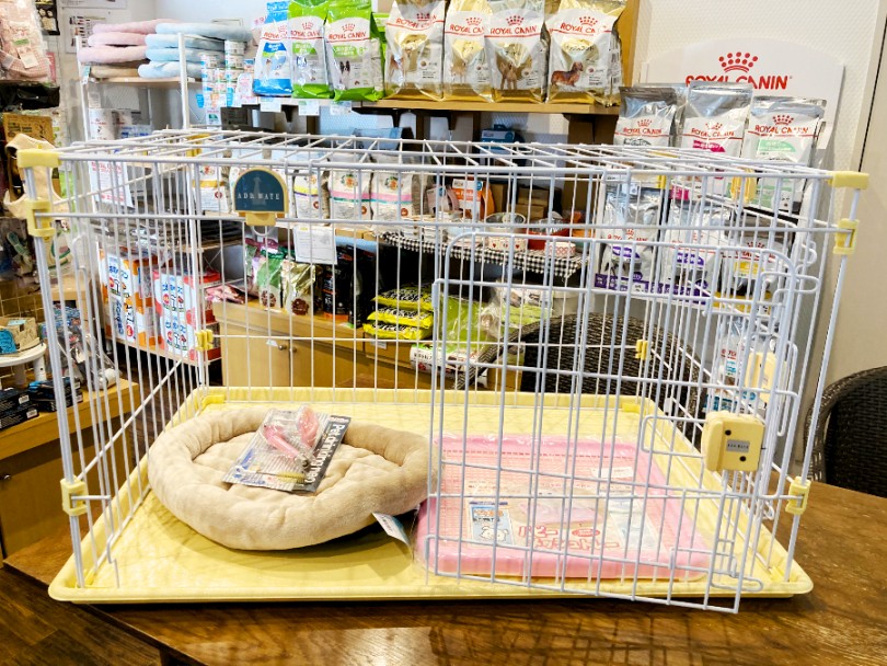 スタートキットはトイ・プードルと似たものでOK | 豆柴 （11772） - 横浜 白楽店