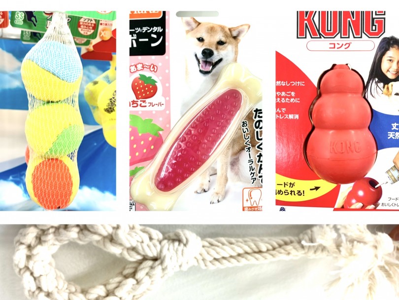 おもちゃには用途、サイズ、その子に適したものがあります！ | MIX マルプー （150117） - 東川口店