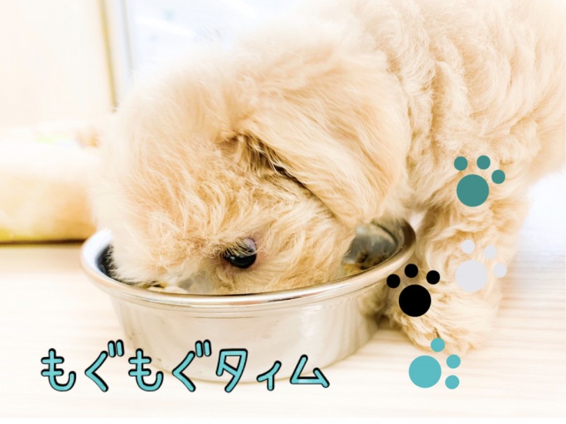 お休みタイム | MIX マルプー （150117） - 東川口店