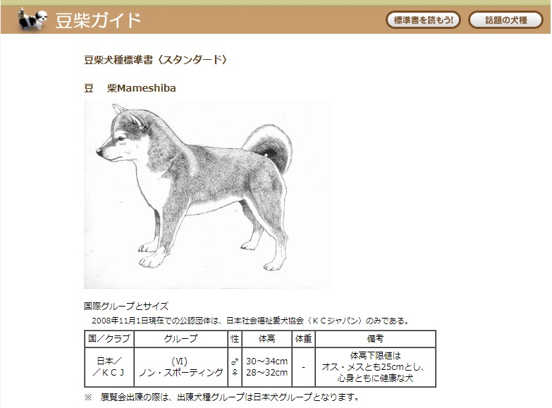 KCジャパン認定の豆柴くん | 豆柴 （150110） - 東川口店
