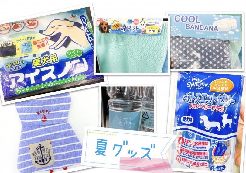 ワンちゃん用・ネコちゃん用の夏用品が沢山あります！ | サイベリアン （150113） - 東川口店