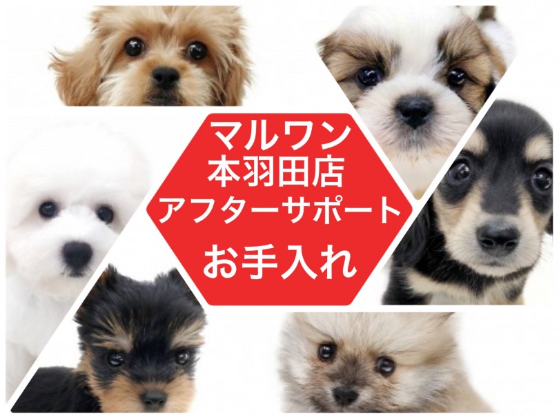 【 お手入れ 】マルワン本羽田店が教える簡単お手入れ講座！