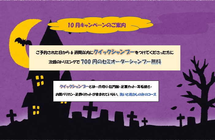 【 城山トリミング 】10月のキャンペーン！クイックシャンプーのご案内