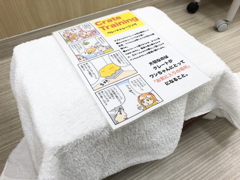 クレートトレーニングってなぁに？？ | マルチーズ （713715） - 鶴見店