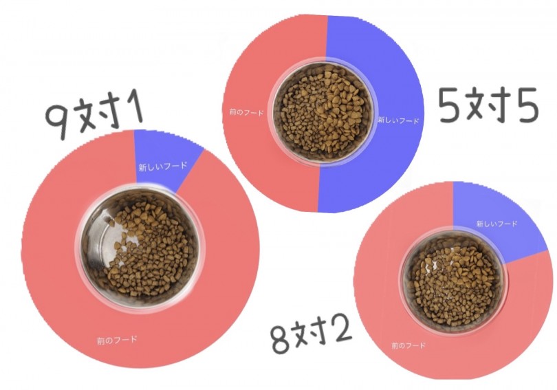 新しいドッグフードにした時は少しづつ切り替える | ドッグフードの選び方 - 東川口店