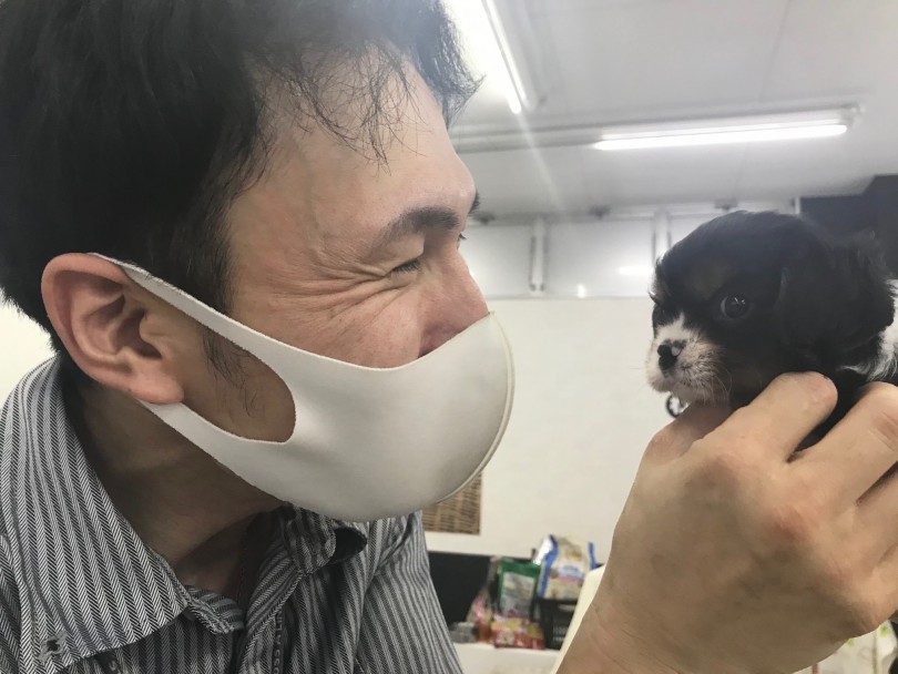 キャバリアちゃんの効率のいいトレーニング方法 | キャバリア・キングチャールズ・スパニエル （117287） - 鎌ヶ谷店