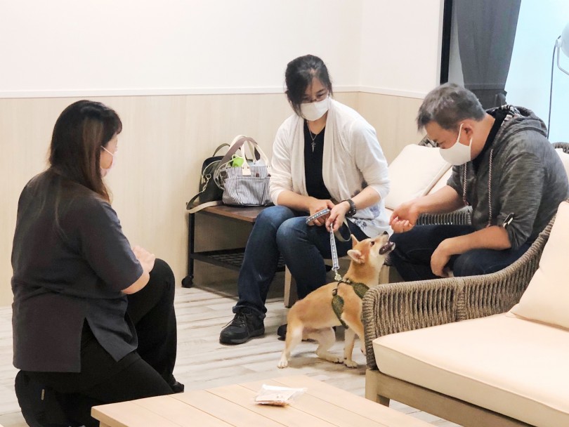 横尾先生のパピー教室 | イベント情報 - 横浜 元町店