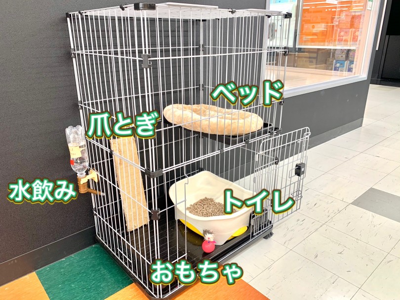 飼育セット | マンチカン （150136） - 東川口店