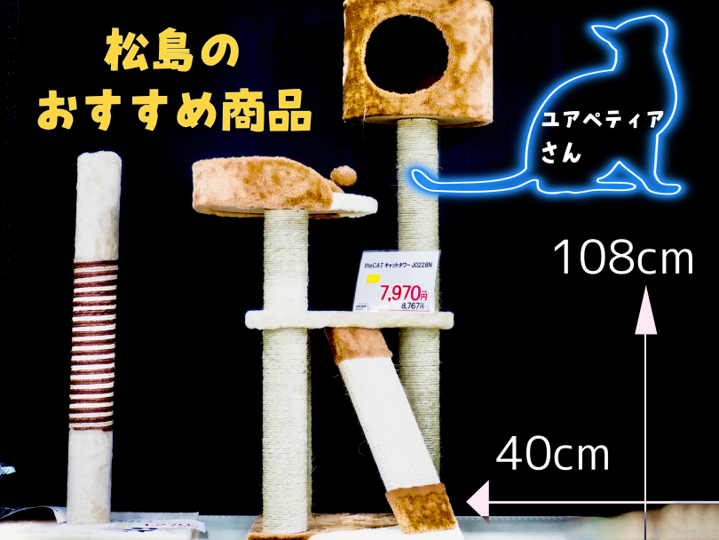 マンチカンちゃんにあうキャットタワーをご紹介 | マンチカン （150133） - 東川口店