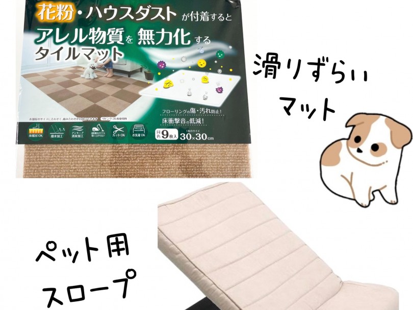 ワンちゃん用のスロープと滑りづらいマット | ミニチュア・ダックスフント （150142） - 東川口店