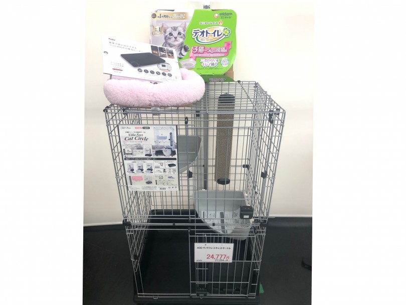 ペルシャちゃんをお迎えするにあたって必要な物は？？ | ペルシャ （713752） - 鶴見店