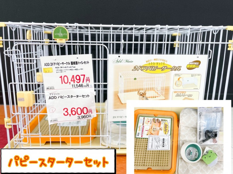ダックスちゃんと生活するには、ゲージは必要不可欠！ | ミニチュア・ダックスフント （150142） - 東川口店