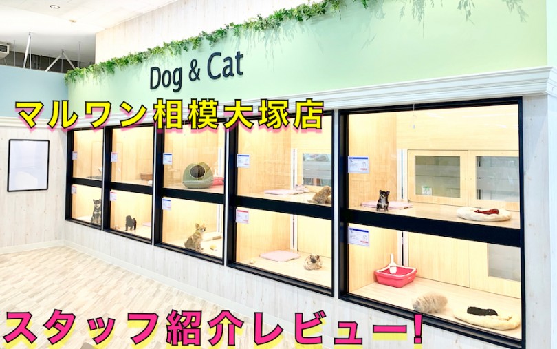 【 店舗紹介 】相模大塚店のスタッフをご紹介♪ペットとの馴れ初めもお話！