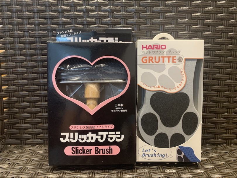 抜け毛が少ない猫種 | ブリティッシュショートヘア （11796） - 横浜 白楽店