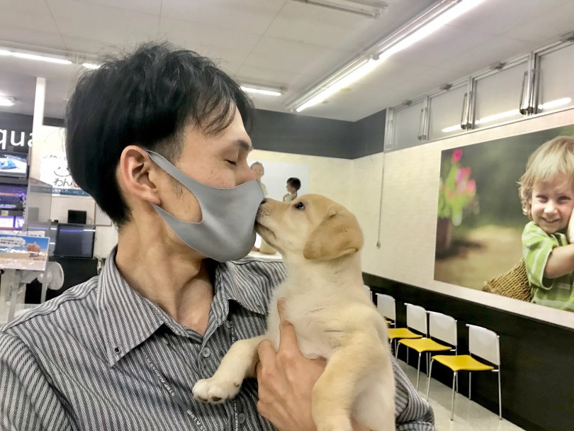 可愛がるのと甘やかすのは違う | 子犬のトレーニング - 鎌ヶ谷店