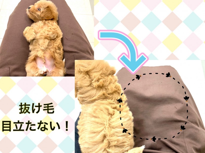 カラーバリエーションが豊かなのも魅力 | MIX マルプー （150144） - 東川口店