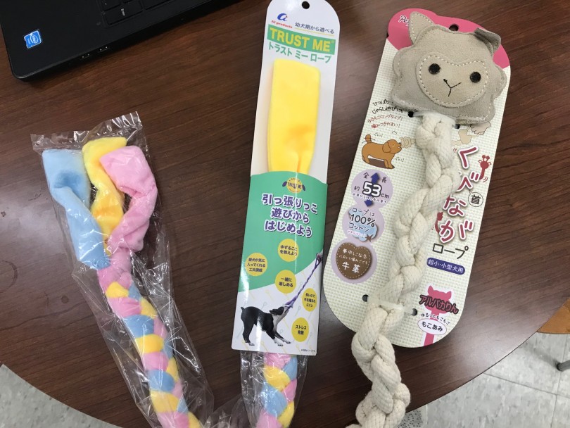 引っ張りっこはワンちゃんのストレス発散にもなります | パグ （117296） - 鎌ヶ谷店