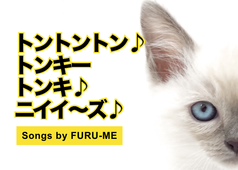 【 トンキニーズ 】シャムの進化系！遊ぶの大好き！甘えん坊ねこちゃん！