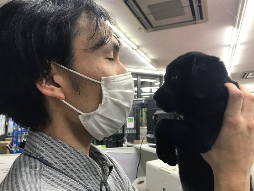 鎌ヶ谷店に遊びに来て、黒ラブちゃんと接してその素晴らしさ・可愛さを実感してみませんか？ | ラブラドールレトリバー （117297） - 鎌ヶ谷店