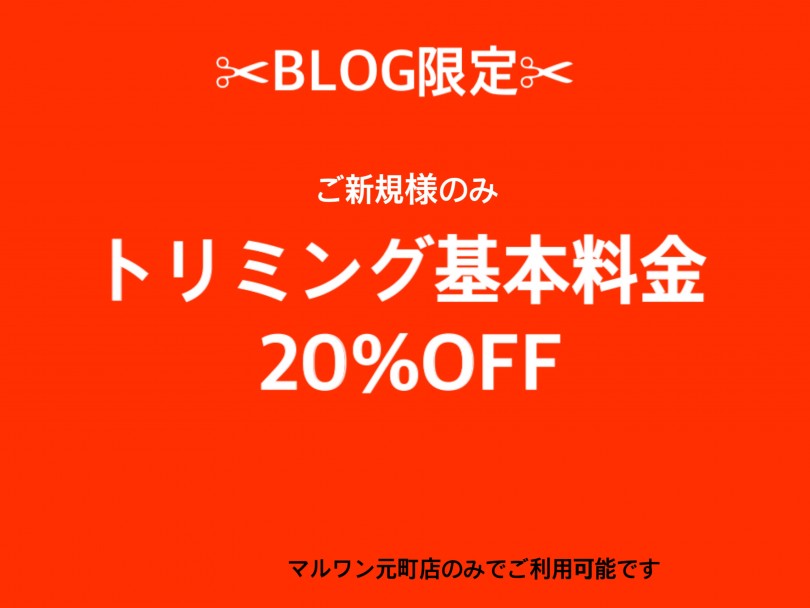 20％OFFクーポン 御来店時にこちらの画像をお見せください。 | 元町トリミング - 横浜 元町店