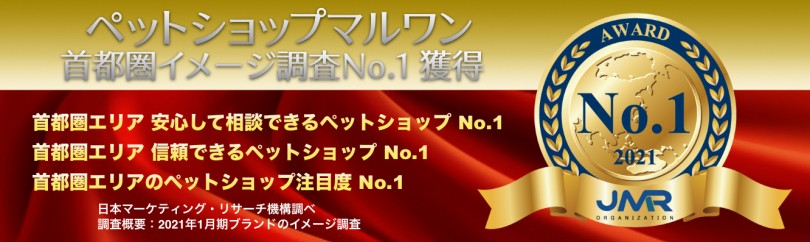 【 イメージ調査 】首都圏エリアリーサーチにおいてマルワンが3部門のNo.1を獲得！