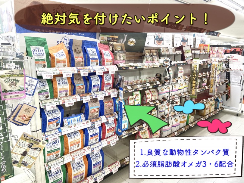 フード選びで絶対気を付けたいポイント解説 | ドッグフードの選び方 - 東川口店