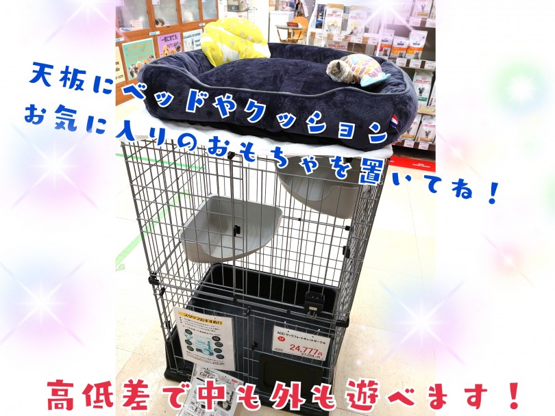 ふかふかのベッドは癒し！ | ノルウェージャンフォレストキャット （130297） - 高井戸店