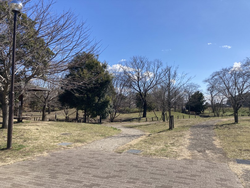 広町公園 | 神奈川ペットライフ - 大和 相模大塚店