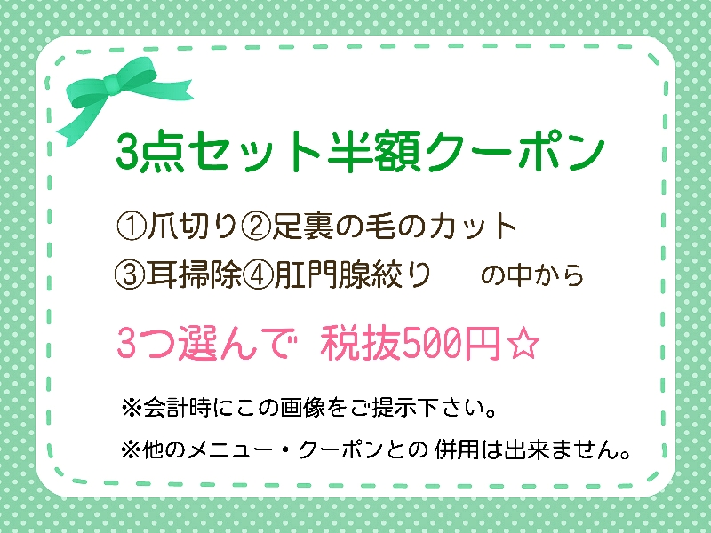 3点セット半額クーポン | あの悩みにはコレ！トリマーが徹底解説、お得なクーポン付！ - 横浜 白楽店