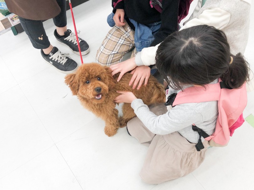 ふれあいタイム | 学童クラブ「CFAKids」さんがやって来た！！ - 梅島店