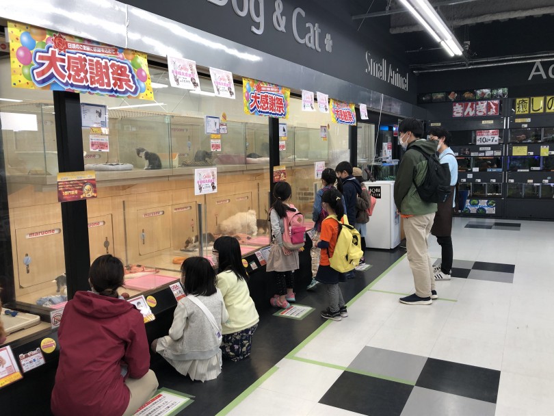 ご飯を食べている所を見学してもらいました。 | 学童クラブ「CFAKids」さんがやって来た！！ - 梅島店