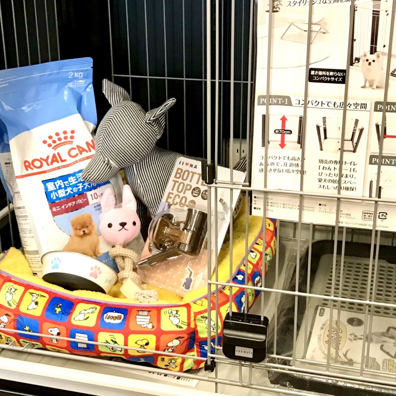ダックスちゃんと過ごすために必要なアイテムのご紹介 | ミニチュア・ダックスフント （140637） - 横浜 元町店