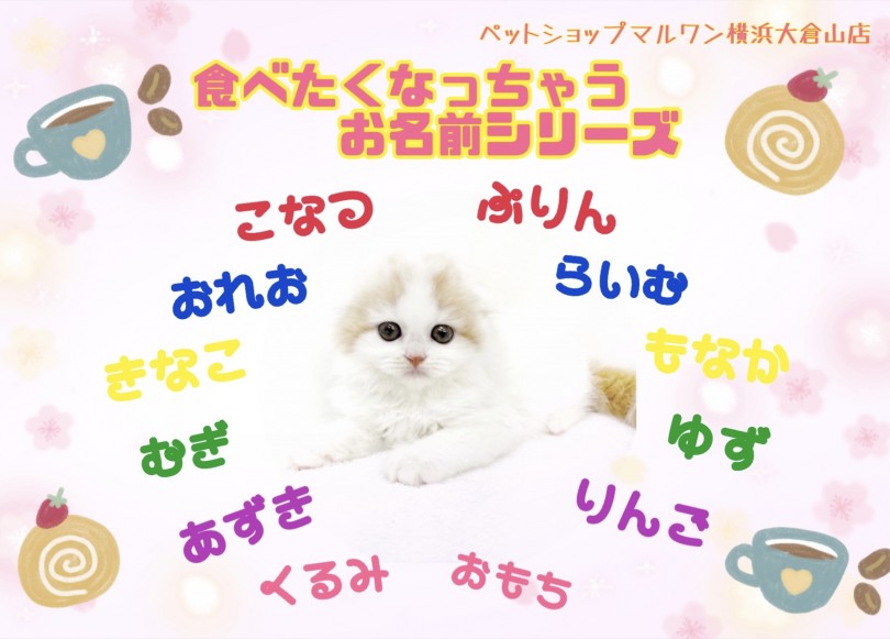 やっぱり食べたくなる可愛すぎるお名前♡ | 大倉山店愛犬・愛猫名前ランキング - 横浜 大倉山店