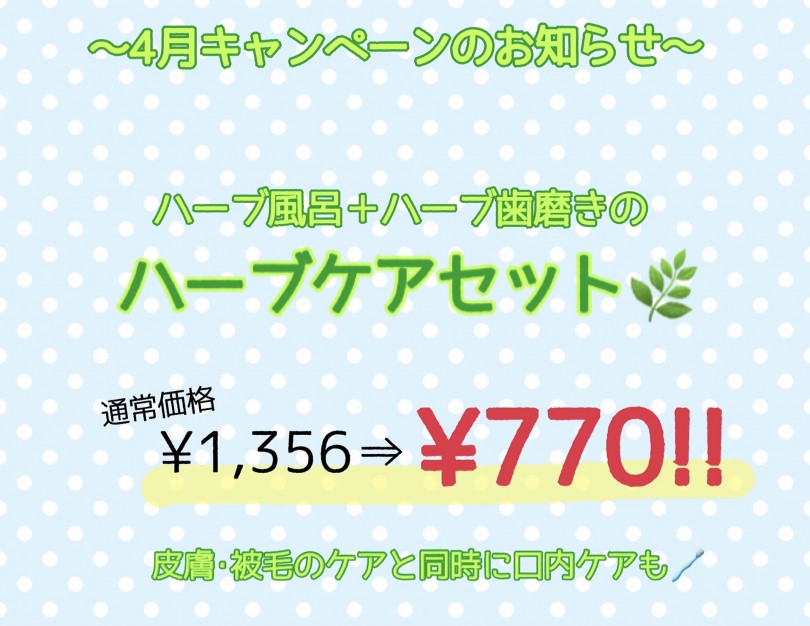 4月キャンペンのお知らせ | 今だけお試し価格!ハーブの歯みがきで口臭改善! - 横浜 元町店