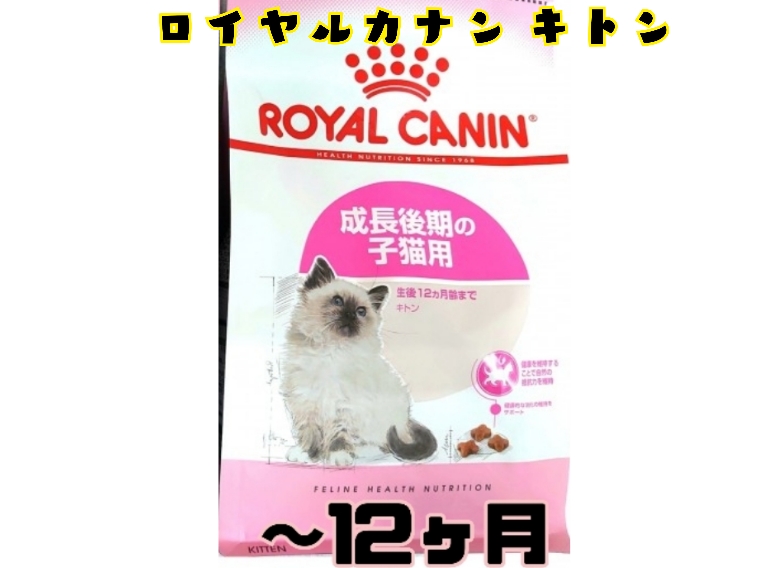 肥満対策はご家族にお願いします！ご飯やお部屋つくりを気をつけましょう！ | アビシニアン （130307） - 高井戸店