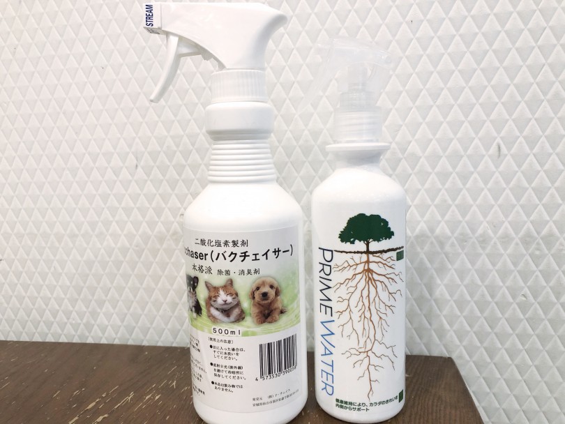 白い毛を維持しているものの必需品！ | マルチーズ （11836） - 横浜 白楽店