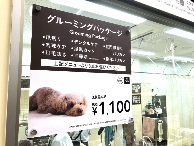 選べるコース《単品美容・グルーミングパッケージ》 | 城山トリミング日和 - 城山店