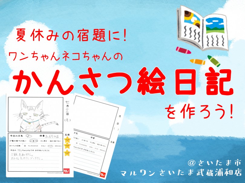 【 夏休みの宿題 】自由研究に！子犬・子猫の「かんさつ絵日記」を作ろう！！