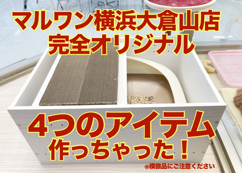 【 大倉山店オリジナル 】猫トイレカスタム・ニャンモック・おもちゃ作りました！