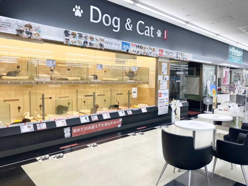 【 店舗紹介 】マルワン横浜 港北NT店はこんなお店