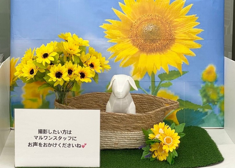 密かな人気です「オリジナル フォトブース」 | マルワン横浜 港北NT店はこんなお店