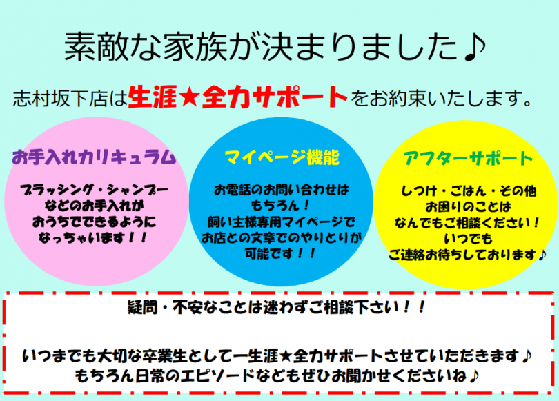 志村坂下店のアフターサポートって？ | お手入れカリキュラムで充実したペットライフを！- 志村坂下店