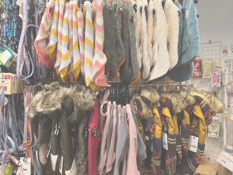 ぜひ一度愛犬を連れてお店までご来店くださいね！ | 秋冬ファッション紹介Vol.2 - 横浜 白楽店