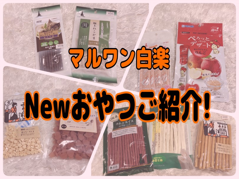 【 商品紹介 】効果的で健康的がトレンド！白楽店から新入荷のおやつをご紹介！