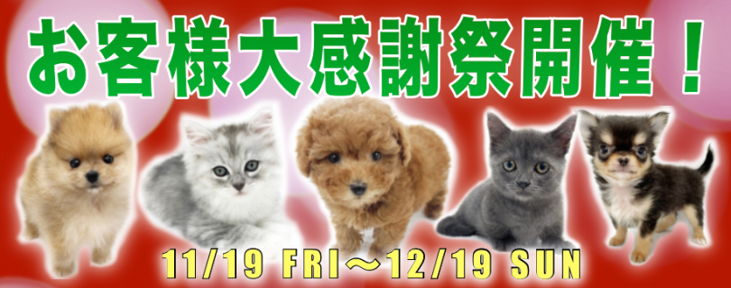 【 お客様大感謝祭開催！ 】マルワンからちょっぴり早いXmasプレゼント！