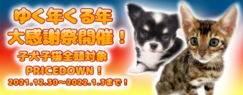 【 ゆく年くる年大感謝祭開催！ 】マルワンから素敵なニューイヤーに向けた贈り物！
