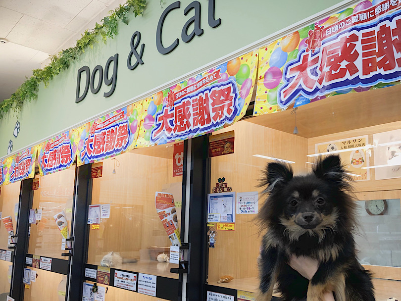 お店で待ってるよ〜 | あなたはどっち？環境毎に変わる飼育方法をご紹介！ - 大和 相模大塚店