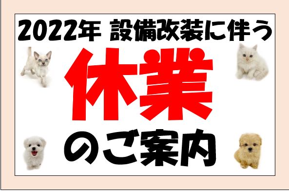 【 お知らせ 】ペッツワン城山店の店舗リニューアル工事に伴う休業のご案内
