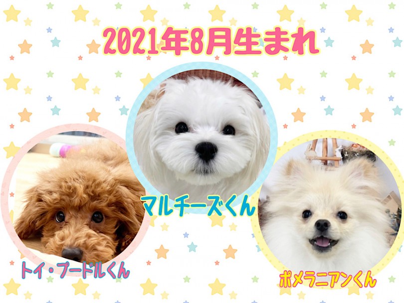 港北NT店の8月生まれトリオ - 横浜 港北ニュータウン店